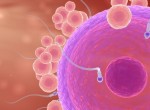 ЭКО и внутриматочная инсеминация как методы лечения бесплодия