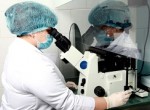 Эмбриология и ее роль в современной репродуктивной медицине 