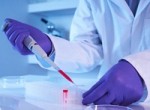 Изменение уровня ХГЧ после переноса эмбриона