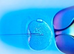Новости ЭКО: инновации в репродуктивных технологиях