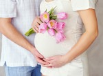 Оплодотворение и развитие беременности