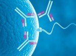 MAR-тест - исследование спермы